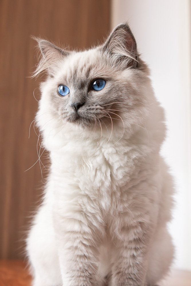 IMG_5573-Enhanced-NR