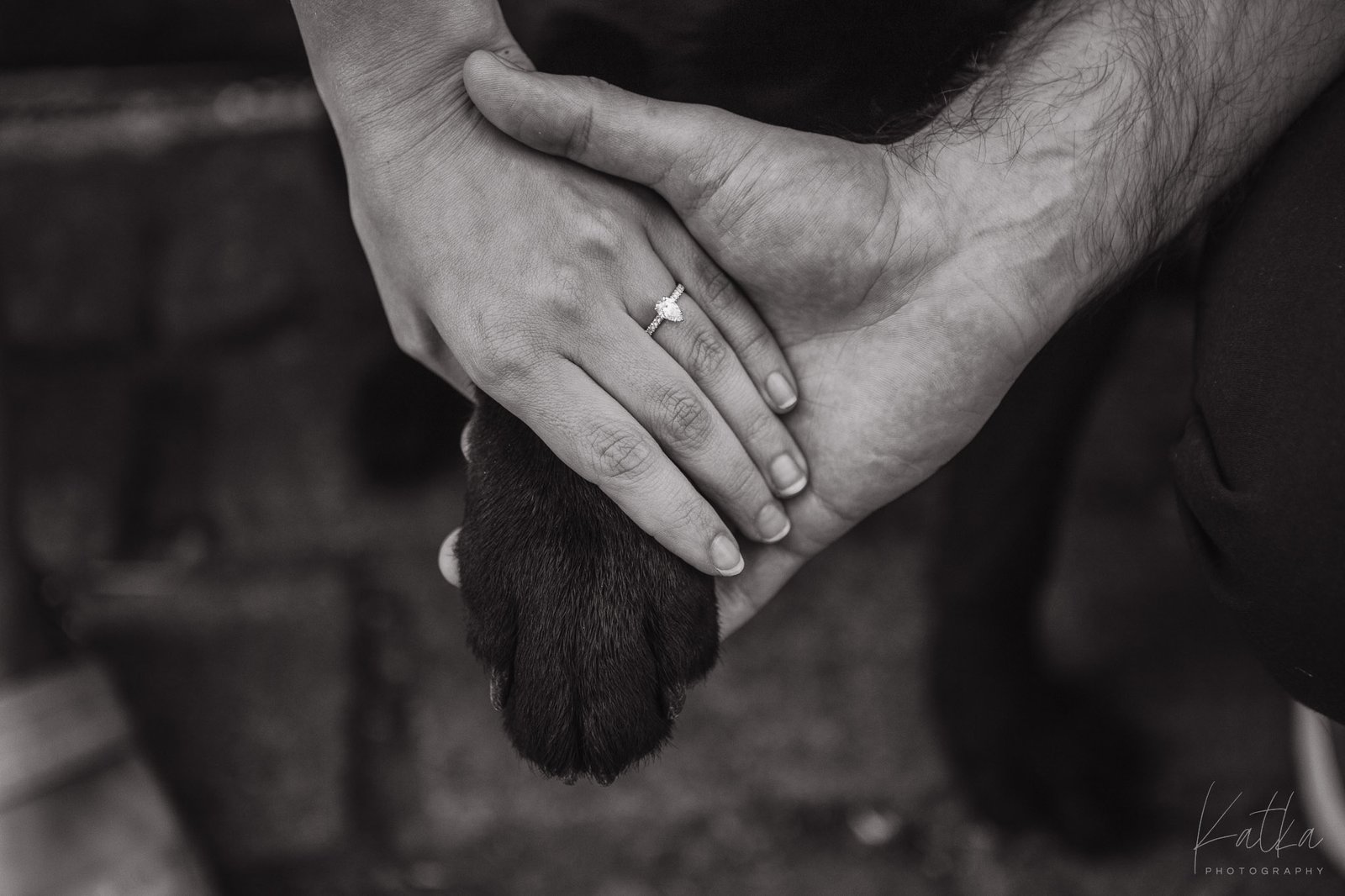 Bara-David-LowQual-29