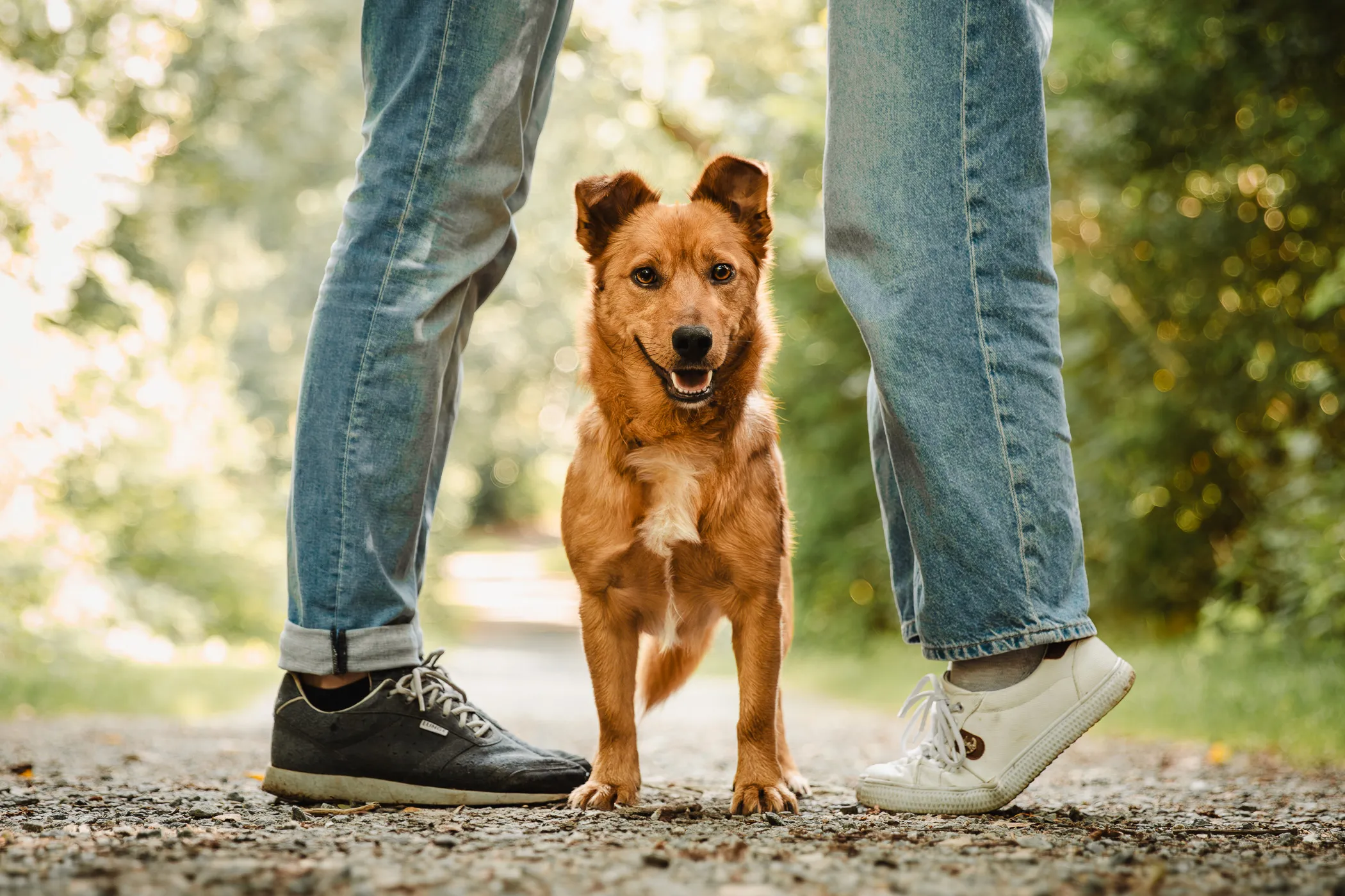 IMG_8313-Enhanced-NR