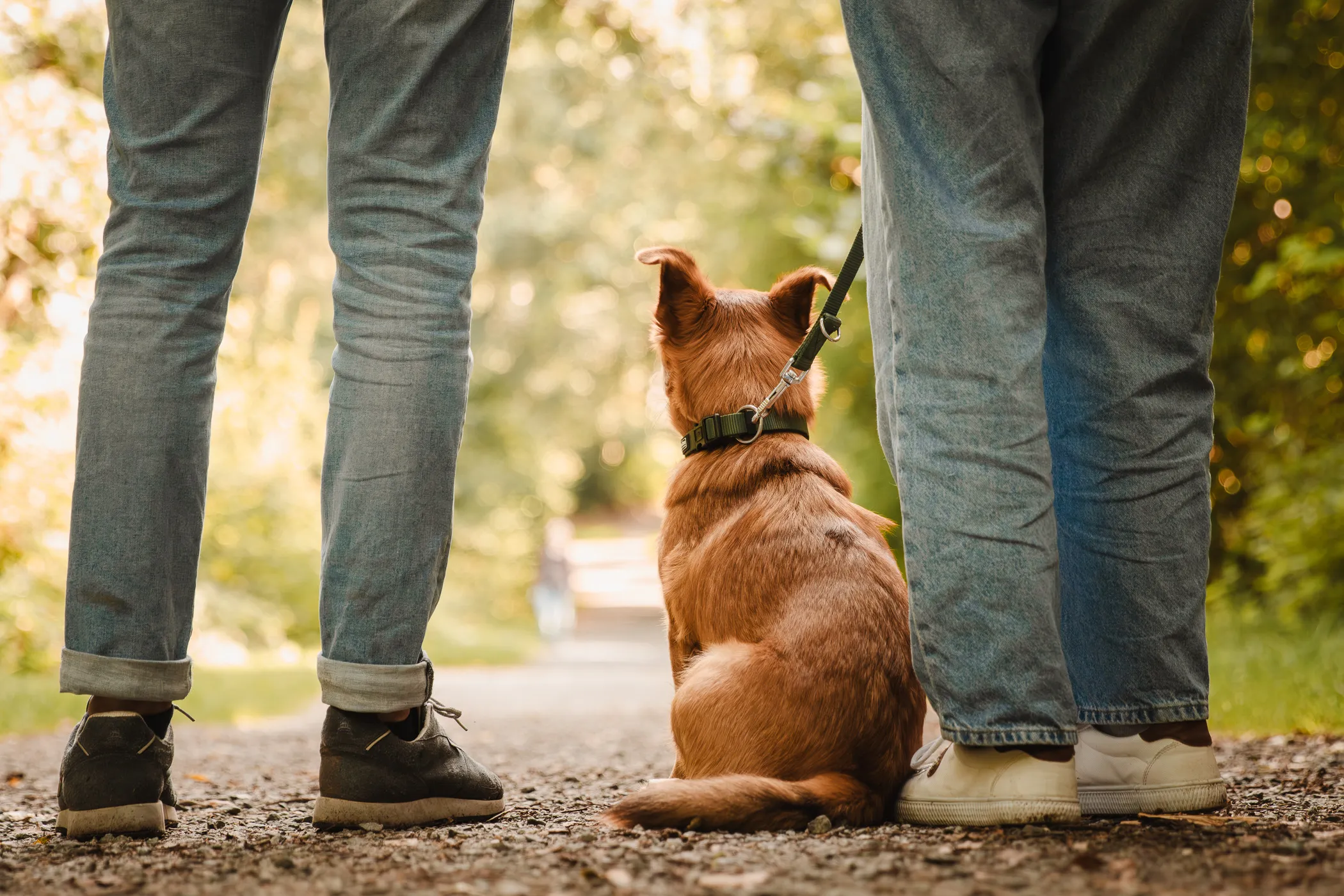 IMG_8341-Enhanced-NR